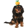 Frisco Pumpkin Dog & Cat Head Accessory, X-Small/Small