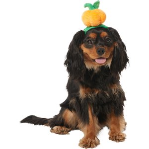 Frisco Pumpkin Headband Dog & Cat Costume Accessory, X-Small/Small