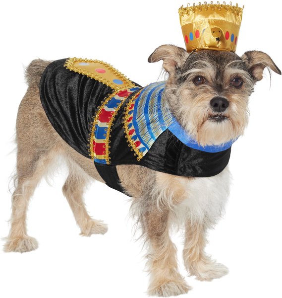 Frisco Royal Pharoah Dog & Cat Costume, Medium slide 1 of 8