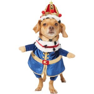 Frisco Front Walking Royal King Dog & Cat Costume, Medium