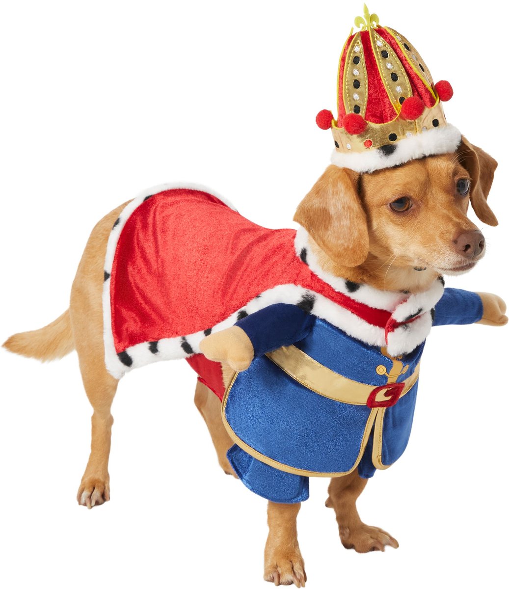 Frisco Royal King Dog &amp; Cat Cape Costume