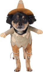 Frisco Front Walking Scarecrow Dog & Cat Costume, Small