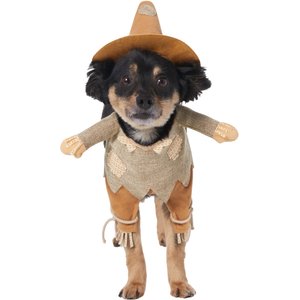Frisco Front Walking Scarecrow Dog & Cat Costume, Small