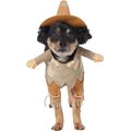 Frisco Front Walking Scarecrow Dog & Cat Costume, Medium