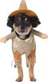 Frisco Front Walking Scarecrow Dog & Cat Costume, Large
