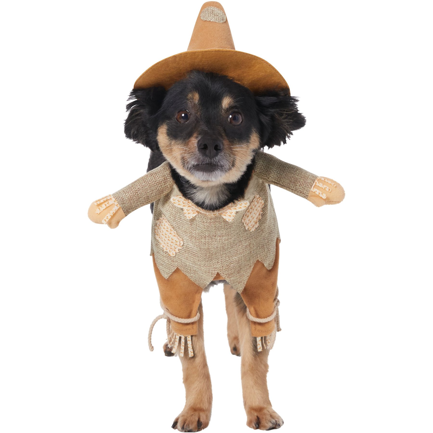 FRISCO Front Walking Scarecrow Dog & Cat Costume, XXX-Large - Chewy.com