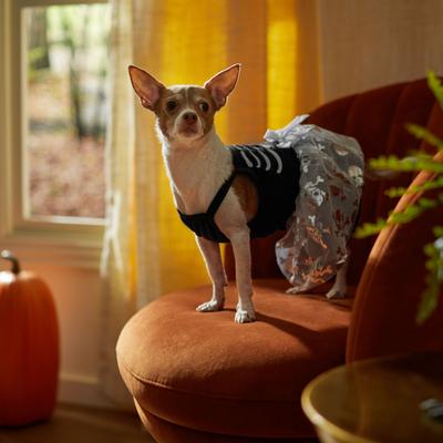 Show full view: Frisco Silver Metallic Skull Dog & Cat Dress, Small slide 6 of 9