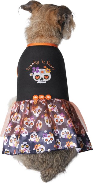 Frisco Sweet & Spooky Ruffle Skull Dog & Cat Dress, X-Small slide 1 of 8