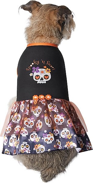 Frisco Sweet & Spooky Ruffle Skull Dog & Cat Dress, Large slide 1 of 7