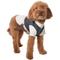 Show in main carousel: STAR WARS HAN SOLO Lightweight Dog & Cat Vest Jacket, XXX-Large slide 3 of 7