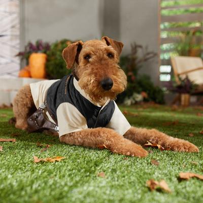 Show full view: STAR WARS HAN SOLO Lightweight Dog & Cat Vest Jacket, XXX-Large slide 5 of 7