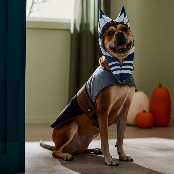 STAR WARS AHSOKA Dog & Cat Costume