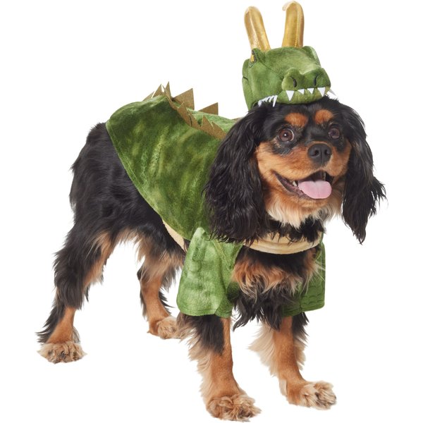  Rubie's DC League of Super Pets Lulu Small Pet Costume, As  Shown, Extra-Small : Pet Supplies