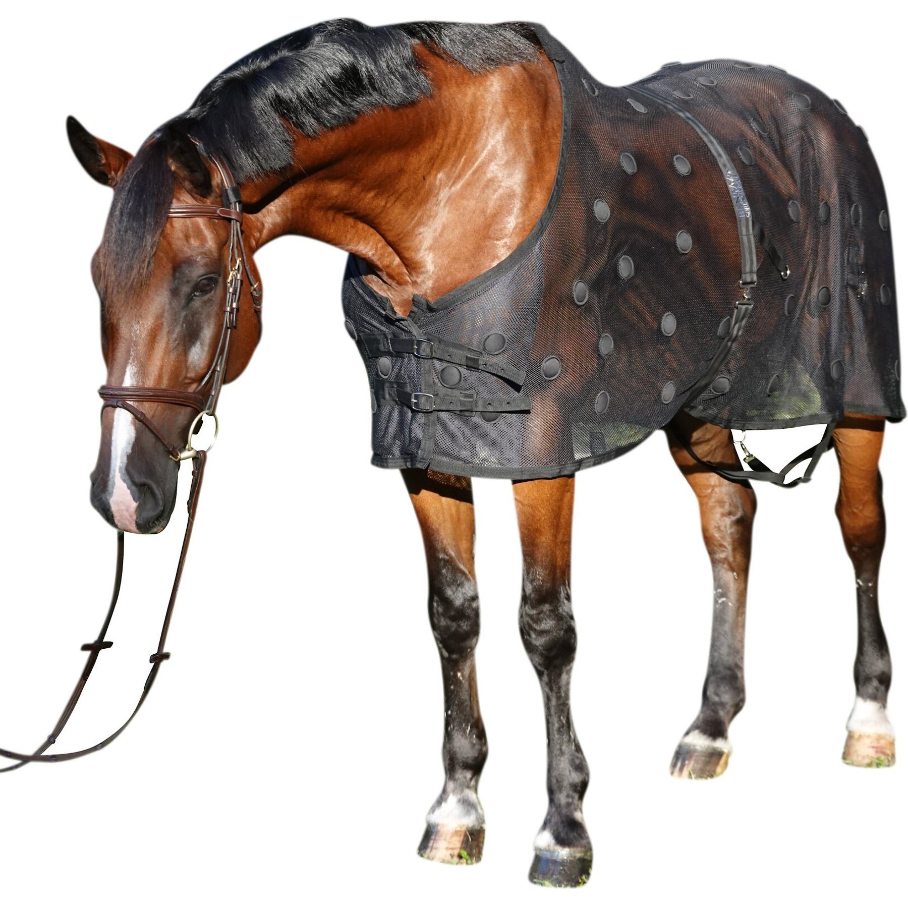 Benefab Rejuvenate Horse SmartScrim, 68-in