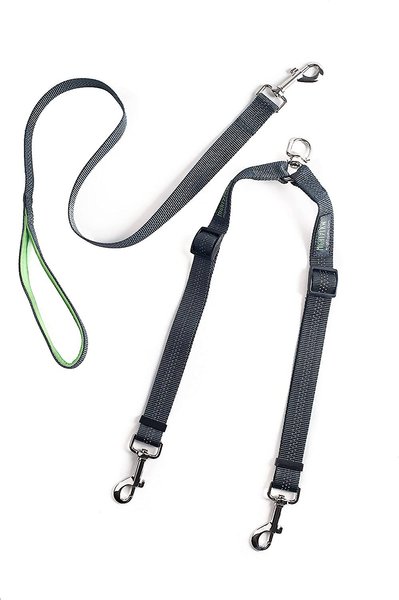 Mighty paw clearance double dog leash