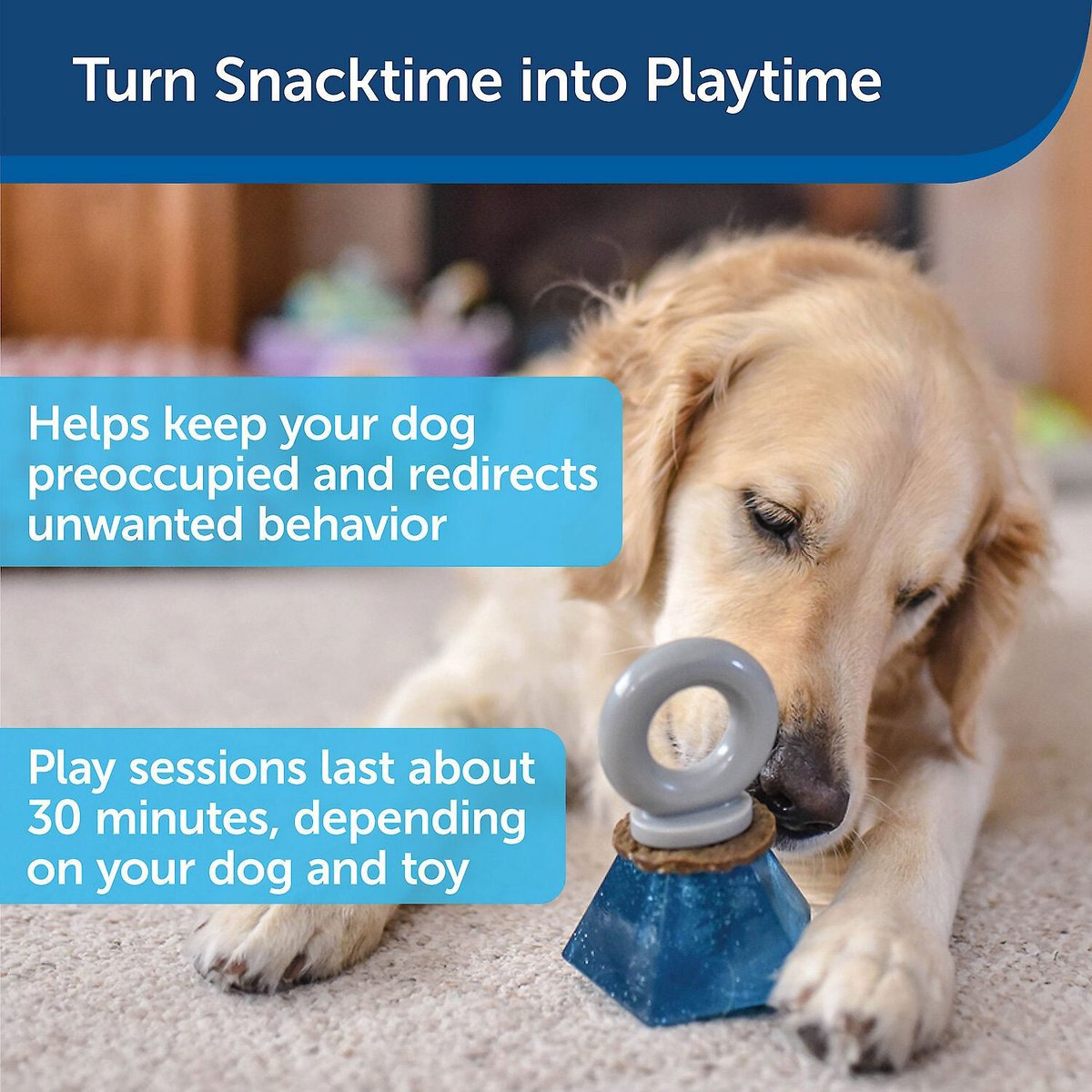 Are Busy Buddy Rawhide Rings Safe for Your Dog?