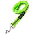 Mighty Paw Waterproof Dog Leash, 6-ft long, Green