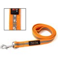 Mighty Paw Waterproof Dog Leash, 6-ft long, Orange