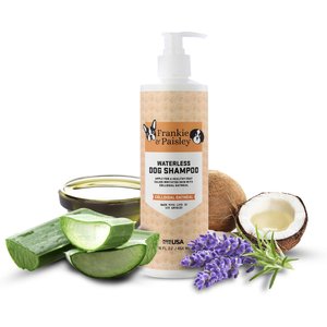Healthy Breeds Golden Retriever Oatmeal Aloe Dog Shampoo, 16-oz bottle
