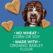 Newman's Own Salmon & Sweet Potato Formula Medium Size Heart Shaped Dog Treats