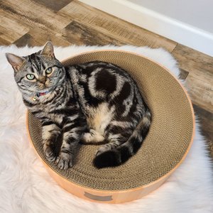 Necoichi Cozy Cat Scratcher Bowl Toy, Oak, X-Large