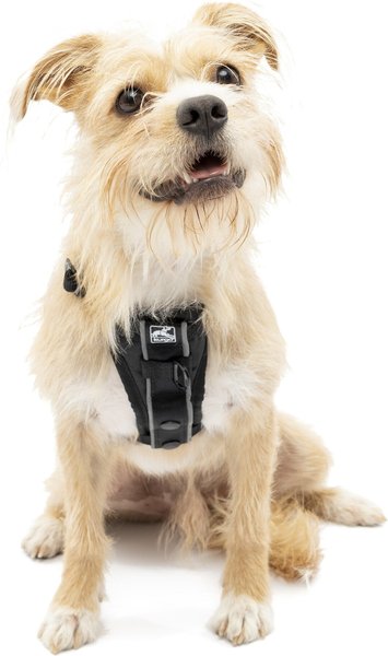 Kurgo Tru-Fit Quick Release & Seatbelt Tether Smart Dog Harness, Black, Small slide 1 of 9