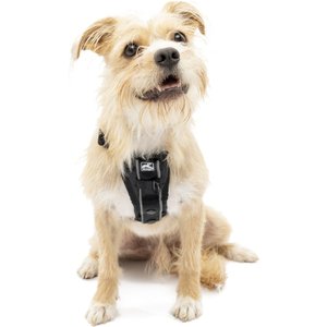 Kurgo Tru-Fit Quick Release & Seatbelt Tether Smart Dog Harness, Black, Small