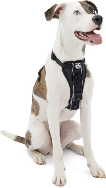 Kurgo Tru-Fit Quick Release & Seatbelt Tether Smart Dog Harness, Black, Medium  slide 1 of 9