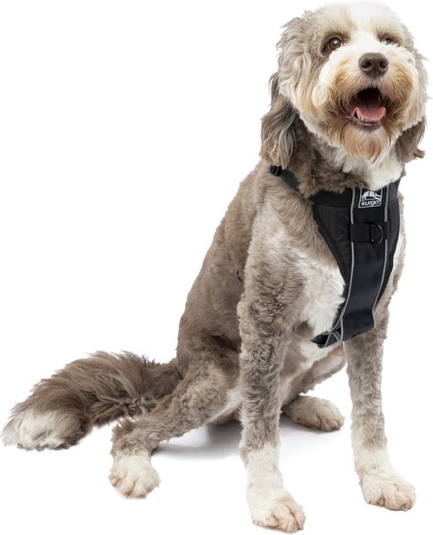 Kurgo Tru-Fit Quick Release & Seatbelt Tether Smart Dog Harness, Black, Large  slide 1 of 9