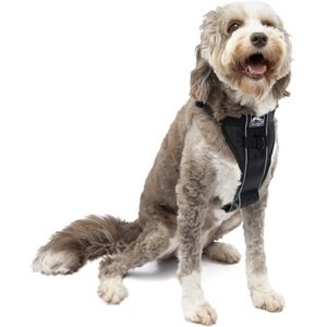 Kurgo Tru-Fit Quick Release & Seatbelt Tether Smart Dog Harness, Black, Large 