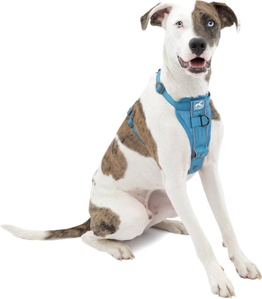 Kurgo Tru-Fit Quick Release & Seatbelt Tether Smart Dog Harness, Blue, Medium  slide 1 of 8