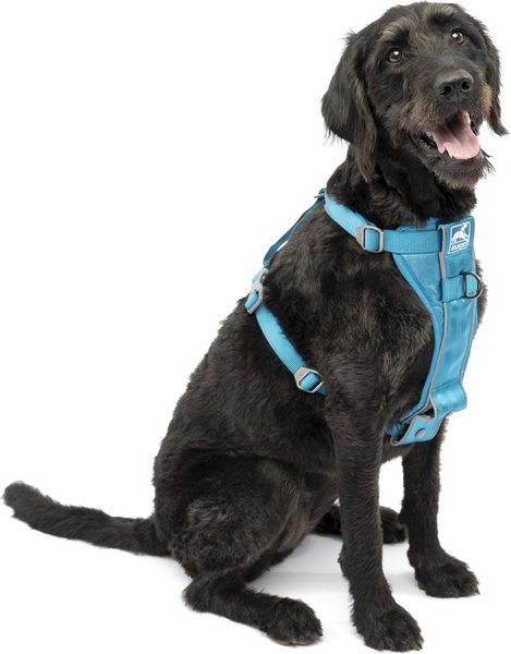 Kurgo Tru-Fit Quick Release & Seatbelt Tether Smart Dog Harness, Blue, Large  slide 1 of 8