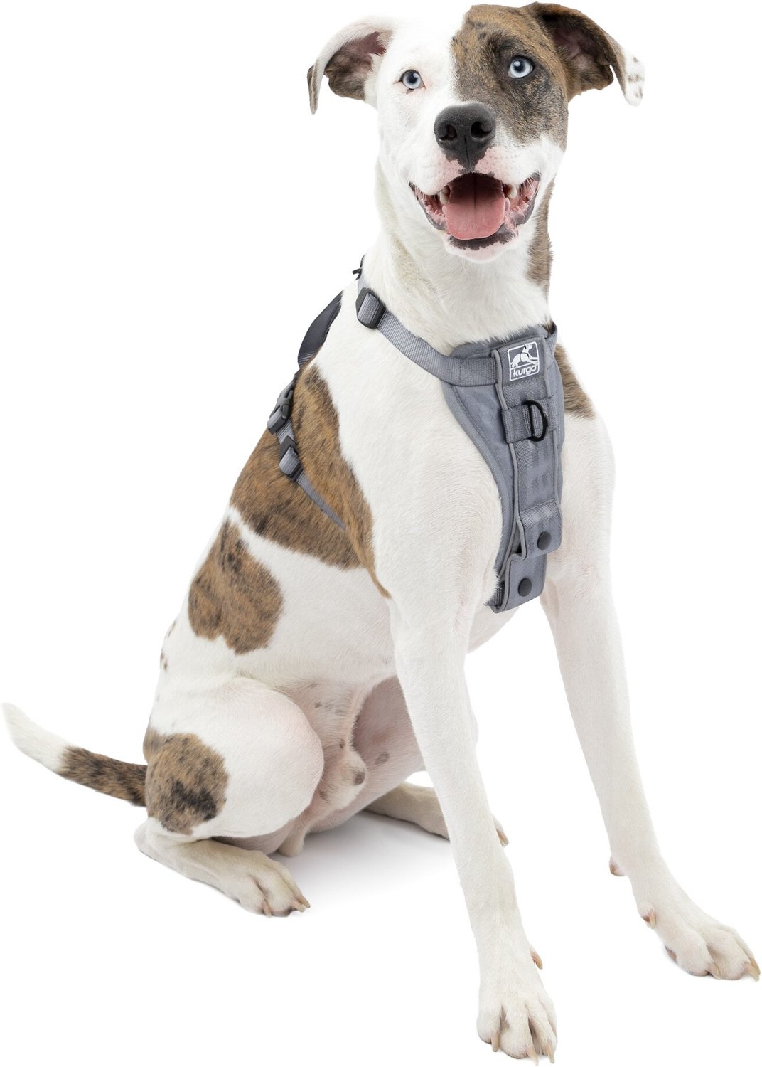 Kurgo Tru-Fit Smart Harness