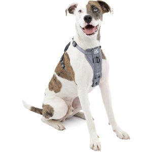 Kurgo Tru-Fit Quick Release & Seatbelt Tether Smart Dog Harness, Charcoal, Medium 