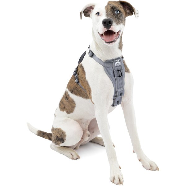 PETSAFE CareLift Rear Handicapped Support Dog Harness, Medium - Chewy.com