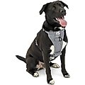 Kurgo Tru-Fit Quick Release & Seatbelt Tether Smart Dog Harness, Charcoal, Large 
