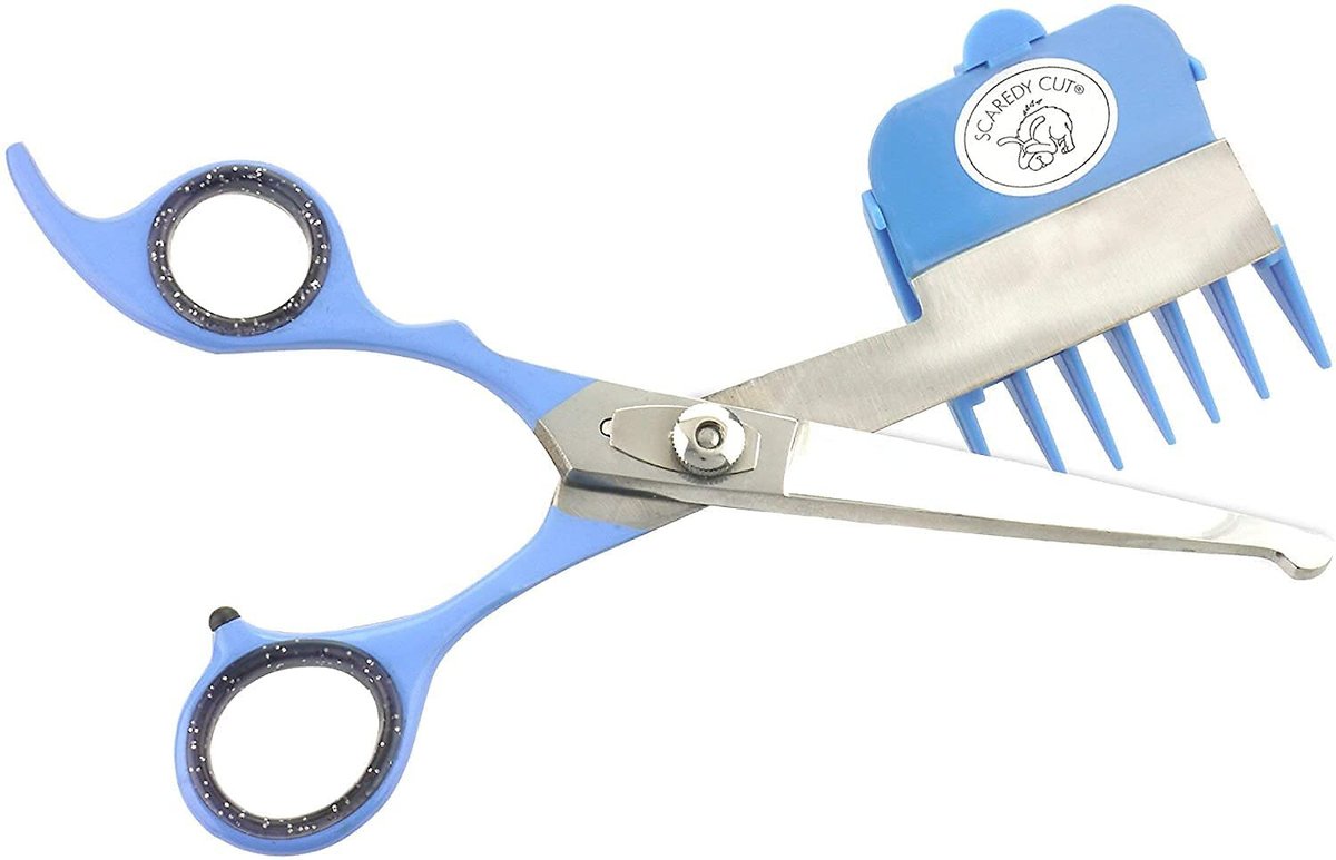 Scaredy shop cut scissors