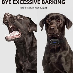 DogCare AB-Collar-12 Dog Bark Control Collar, Small, Black slide 2 of 7