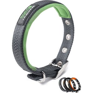 Mighty Paw Sport 2.0 Dog Collar, Green, Small