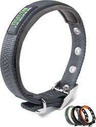 Mighty Paw Sport 2.0 Dog Collar, Grey, Small