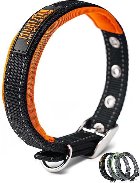 Mighty Paw Sport 2.0 Dog Collar, Orange, Medium slide 1 of 1
