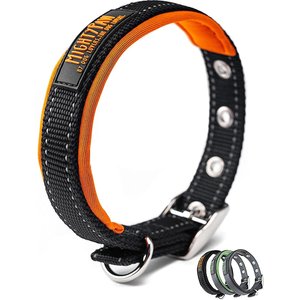 Mighty Paw Sport 2.0 Dog Collar, Orange, Medium