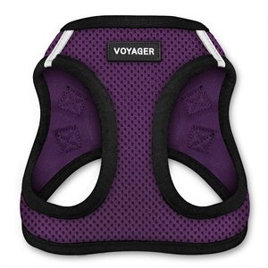 Best Pet Supplies Voyager Step-in Air Dog Harness, Purple Base, XX-Small
