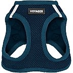 Blue with Matching Trim