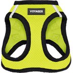 Lime Green Base