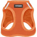 Orange with Matching Trim