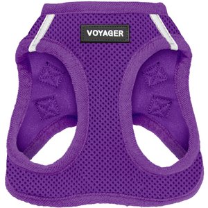 Best Pet Supplies Voyager Step-in Air Dog Harness, Purple with Matching Trim, Large