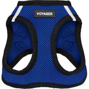 Best Pet Supplies Voyager Step-in Air Dog Harness, Royal Blue Base, Large