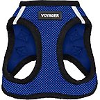Royal Blue Base