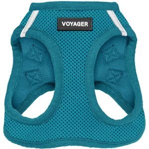 Best Pet Supplies Voyager Step-in Air Dog Harness, Turquoise with Matching Trim, Large